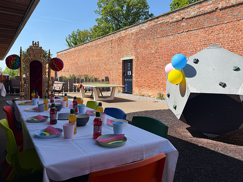 Outdoor birthday party